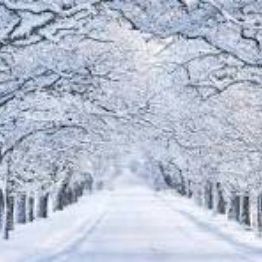 Meet your Posher, CC